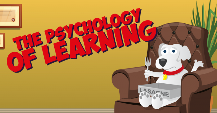 The Psychology of Learning